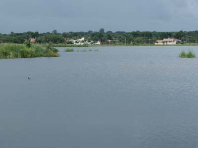 A  divisão ocorrida não altera as condições ecológicas. -