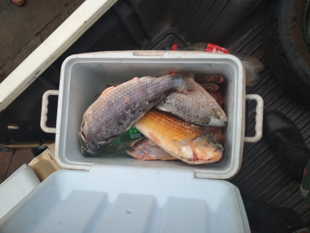 PMA apreendeu 154 Kg de pescado durante operação. - PMA