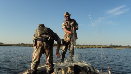 PMA apreendeu 35Kg de pescado em operação - PMA