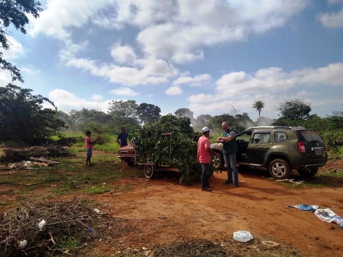 Operação ‘Porco Solto’ resulta em 35 flagrantes de crimes ambientais em Três Lagoas - Divulgação