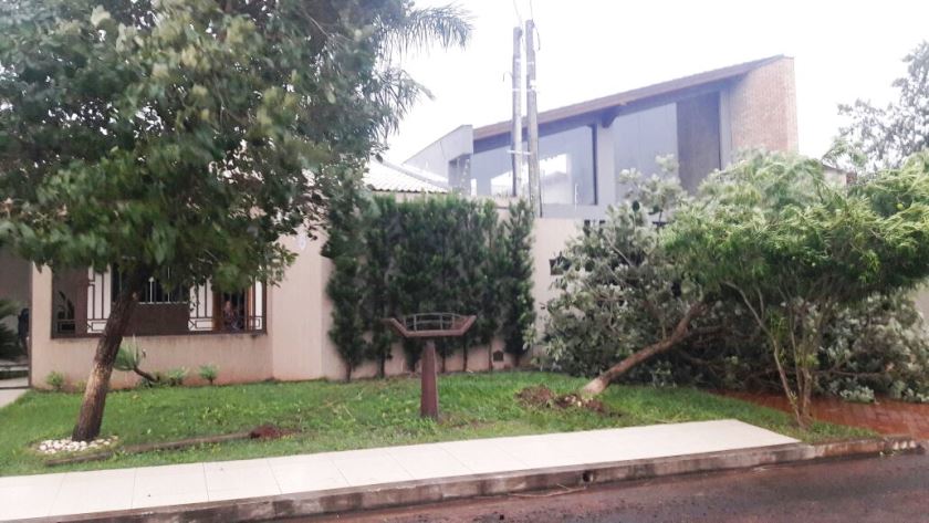 Temporal deixa carro preso em fios de alta tensão e derruba árvores