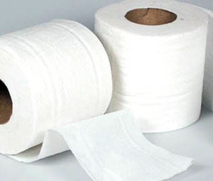 O papel higiênico teria sido inventado na China, em 875, mas a invenção foi atribuída ao americano Joseph Gayetty, que teria concebido o rolo de folhas de papel sobrepostas em 1857 -