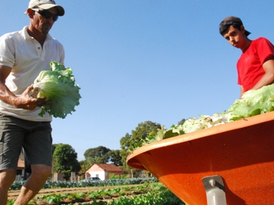 Recursos devem ser aplicados na compra de produtos da agricultura familiar -