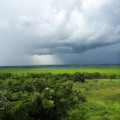 Tempo de chuva está presente em todo o estado.