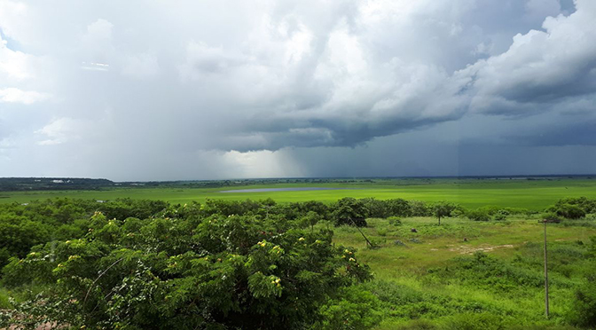 Tempo de chuva está presente em todo o estado.