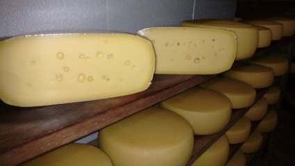 Queijo desenvolvido por Álido Brum - Foto: Facebook ÁLIDO bRUM