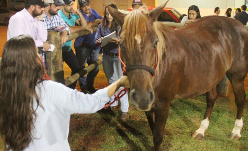  - Divulgação/Iagro