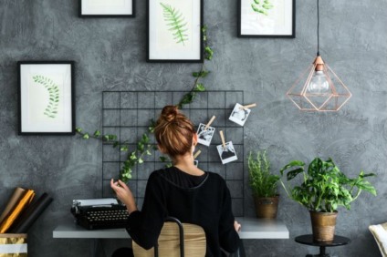 Plantas que servem para decorar a casa e purificar o ar