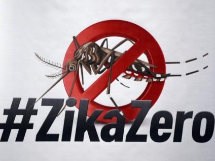 Atividades nas escolas buscam conscientizar e mobilizar os estudantes para o combate ao Aedes aegypti - Agência Brasil