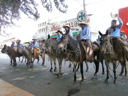 Cavalgada é uma das atividades mais tradicioanis no município - Divulgação Cavalgada é uma das atividades mais tradicioanis no município - Divulgação