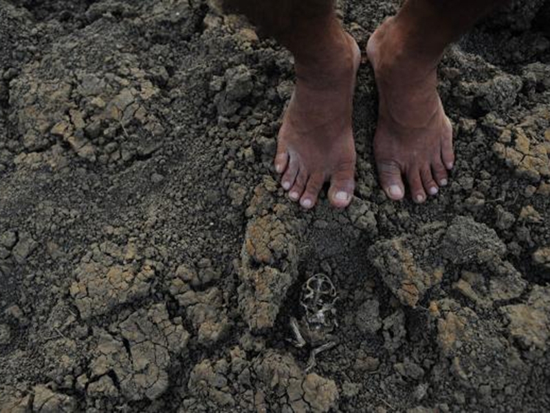Ceará deve ter quinto ano de estiagem. Na foto, o Açude da Pista, que abastecia moradores da comunidade Engano, no distrito de Riacho Verde, em Quixadá, sertão central do Ceará  - Fernando Frazão/Agência Brasil