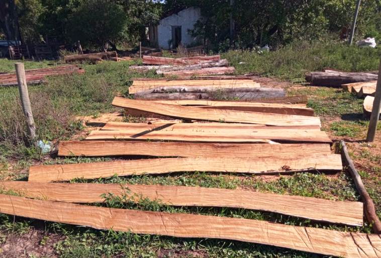 Flagrante ocorreu em uma propriedade às margens da BR-320 - Divulgação/PMA