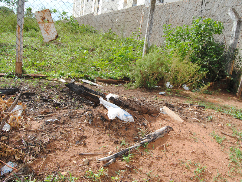 Recipientes jogados nos lixos e terrenos baldios contribuem para a proliferação do mosquito - Elias Dias/JP