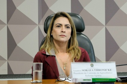 A presidente da comissão, senadora Soraya Thronicke (PSL-MS), propôs o debate a partir de um estudo do Instituto de Desenvolvimento Econômico e Social de Fronteiras - Foto: Roque de Sá/Agência Senado