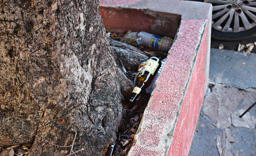 Garrafas de vidro de bebidas alcoólicas são deixadas em canteiro de árvore em rua central de Três Lagoas - Danielle Leduc/JP