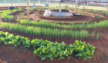 Mais nova iniciativa é uma horta orgânica do tipo “mandala”, com 600 m² - Divulgação