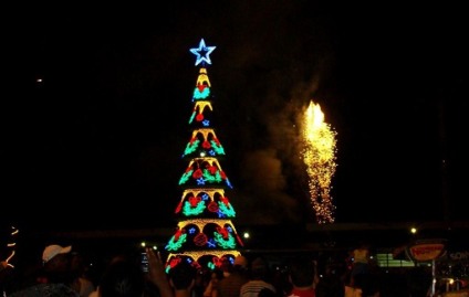 Empresa ficará responsável pela instalação da árvore de Natal na área central  - Arquivo