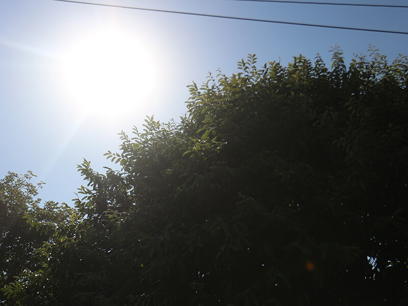 Sexta-feira será de calor em Três Lagoas - Hugo Leal/ JPNEWS