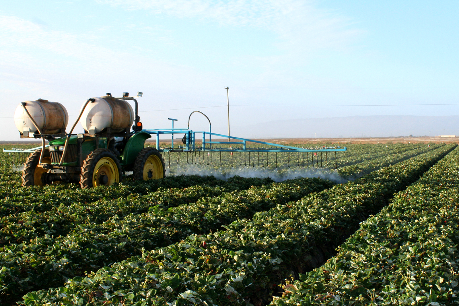 Os ativos representam algo em torno de 60% dos pesticidas utilizados no país - Divulgação