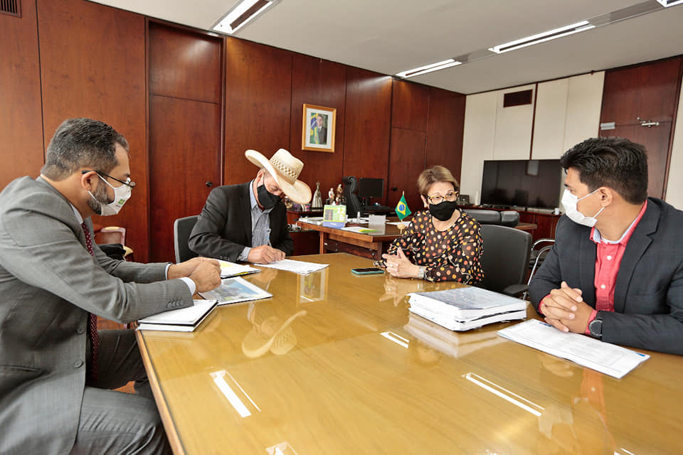 Guerreiro se reuniu com parlamentares sul-mato-grossenses e com a ministra da Agricultura - Divulgação