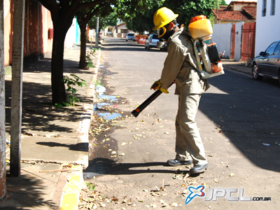 Setor de Endemias aponta cinco áreas críticas de infestação do mosquito flebótomo (transmissor da doença) -