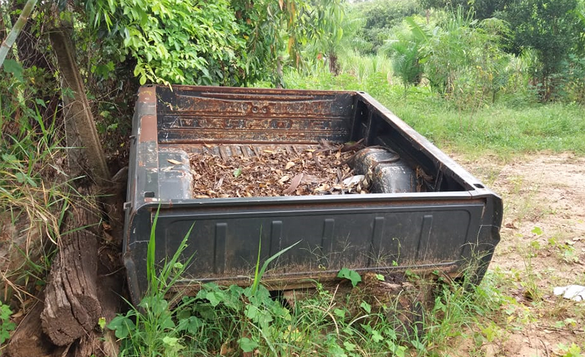 Caçamba de picape abandonada pode reservar água de chuva e servir como criadouro do inseto - Reprodução