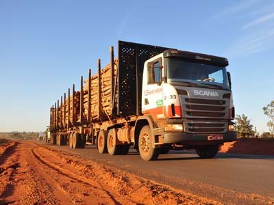 Carretas com excesso de carga transportam eucaliptos - Carretas com excesso de carga transportam eucaliptos -