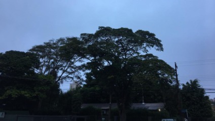 Campo Grande tem previsão de sol com muitas nuvens durante o dia. - Foto: Ingrid Rocha/CBN