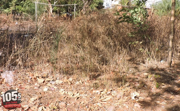 Terreno sujo na rua Duque de Caxias - Gabrielly Almeida/JPNews