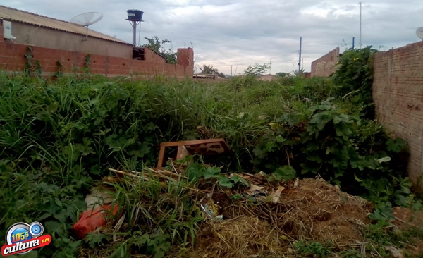 Terreno sujo próximo a residência da Mariele - Foto: Gabrielly Almeida/JPNews