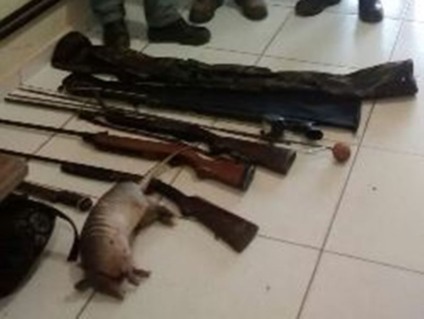 Dentro do porta-malas havia um tatu-galinha, espécie já em extinção na fauna brasileira - Divulgação/PM Dentro do porta-malas havia um tatu-galinha, espécie já em extinção na fauna brasileira - Divulgação/PM
