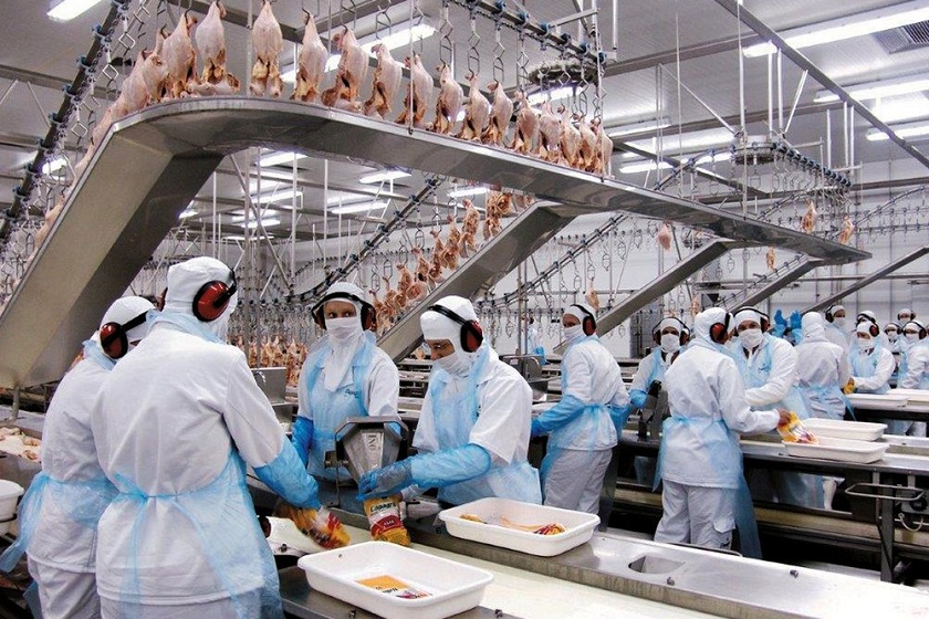 Bloco econômico restringiu compra de carne de aves - Divulgação/Assessoria