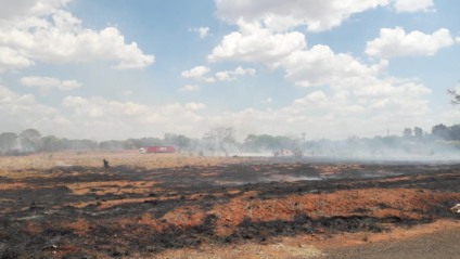 Fogo consome pastagens na região do "trevo da prefeitura" - JPNEWS