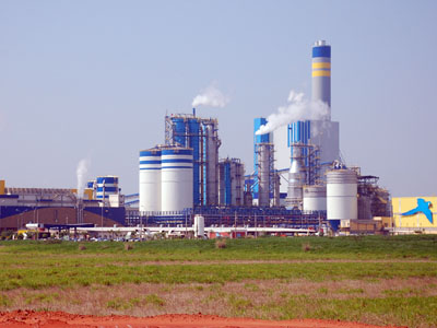 O terreno da Petrobras fica ao lado da Fibria -