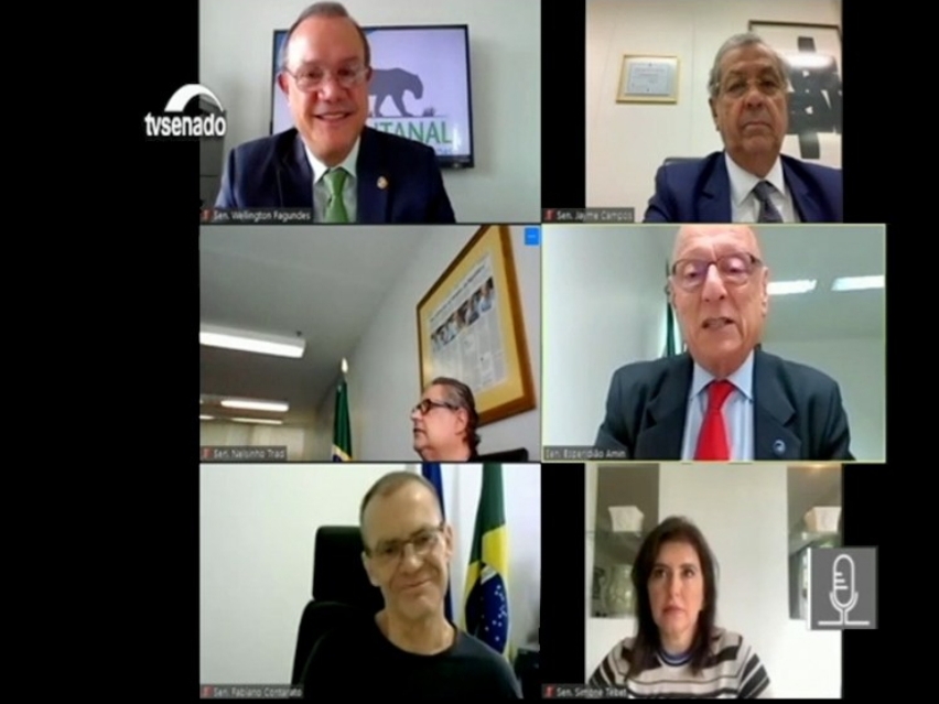 Simone Tebet cobra firmeza contra os crimes ambientais - Foto: Agência Senado