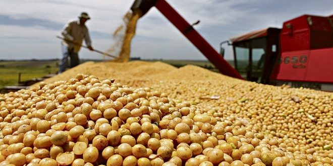 Commodities sul-mato-grossenses devem ajudar na recuperação da economia - Divulgação/Portal do MS