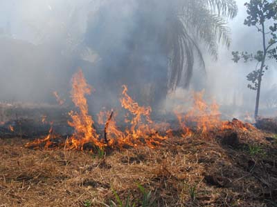 Para os motoristas a dica é redobrar atenção quando trafegar em áreas sujeitas a incêndios, devido à visibilidade reduzida pela fumaça - Para os motoristas a dica é redobrar atenção quando trafegar em áreas sujeitas a incêndios, devido à visibilidade reduzida pela fumaça -