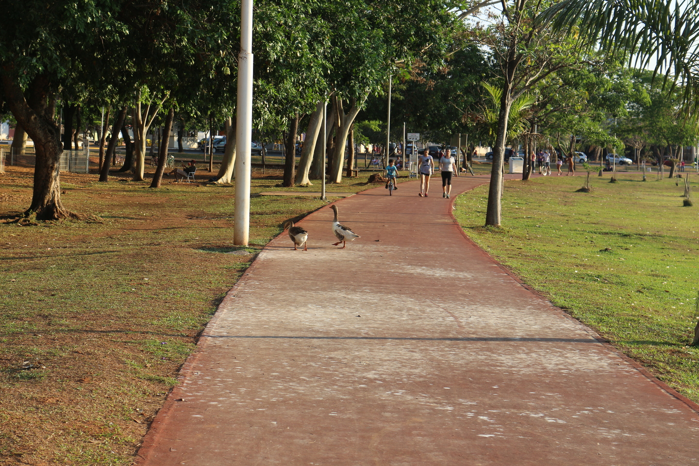 Nossa Três Lagoas e sua infinitas belezas. Cidade que marca o poder da natureza - Danielle Leduc/JPNews