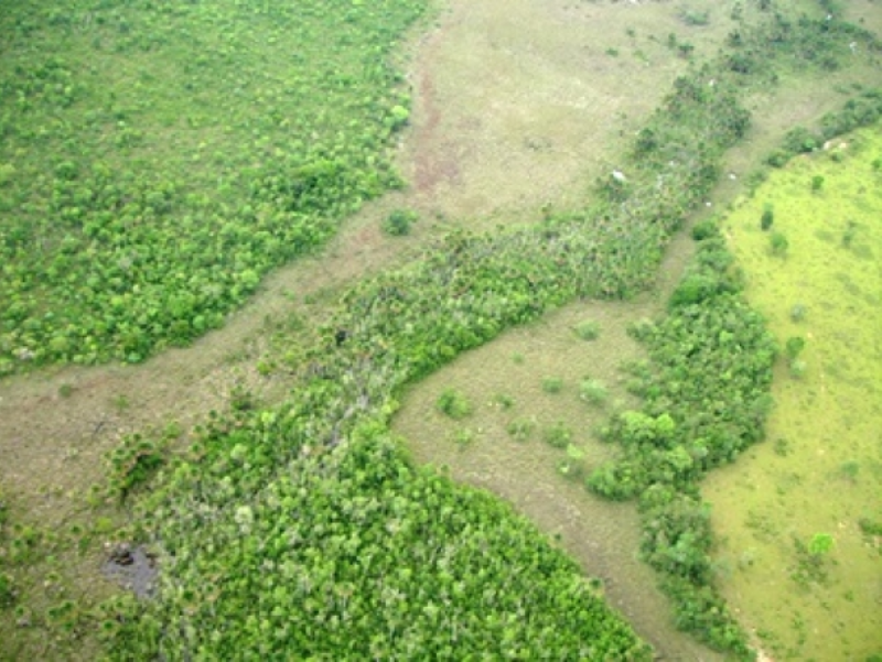 Parque terá recursos para preservação de áreas naturais e para lazer - Arquivo/JP