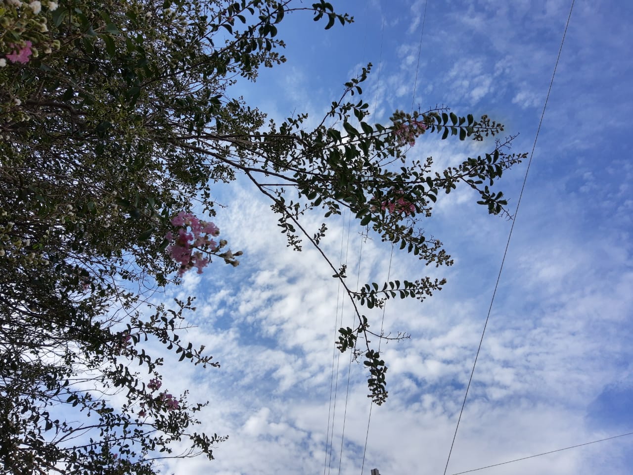 O dia deve ser quente com e as chances de chuva são baixas. A temperatura oscila entre a mínima de 25°C e máxima de 38°C - Talita Matsushita/JPNEWS