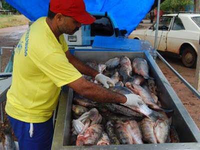 Segundo a PMA, comerciantes já estão acostumados com a operação, portanto são poucas as irregularidades -
