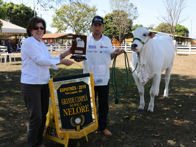 Grande Campeã Nelore -