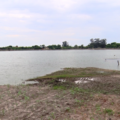 Embora existam placas de sinalização, muitas crianças desobedecem e brincam na Segunda Lagoa.