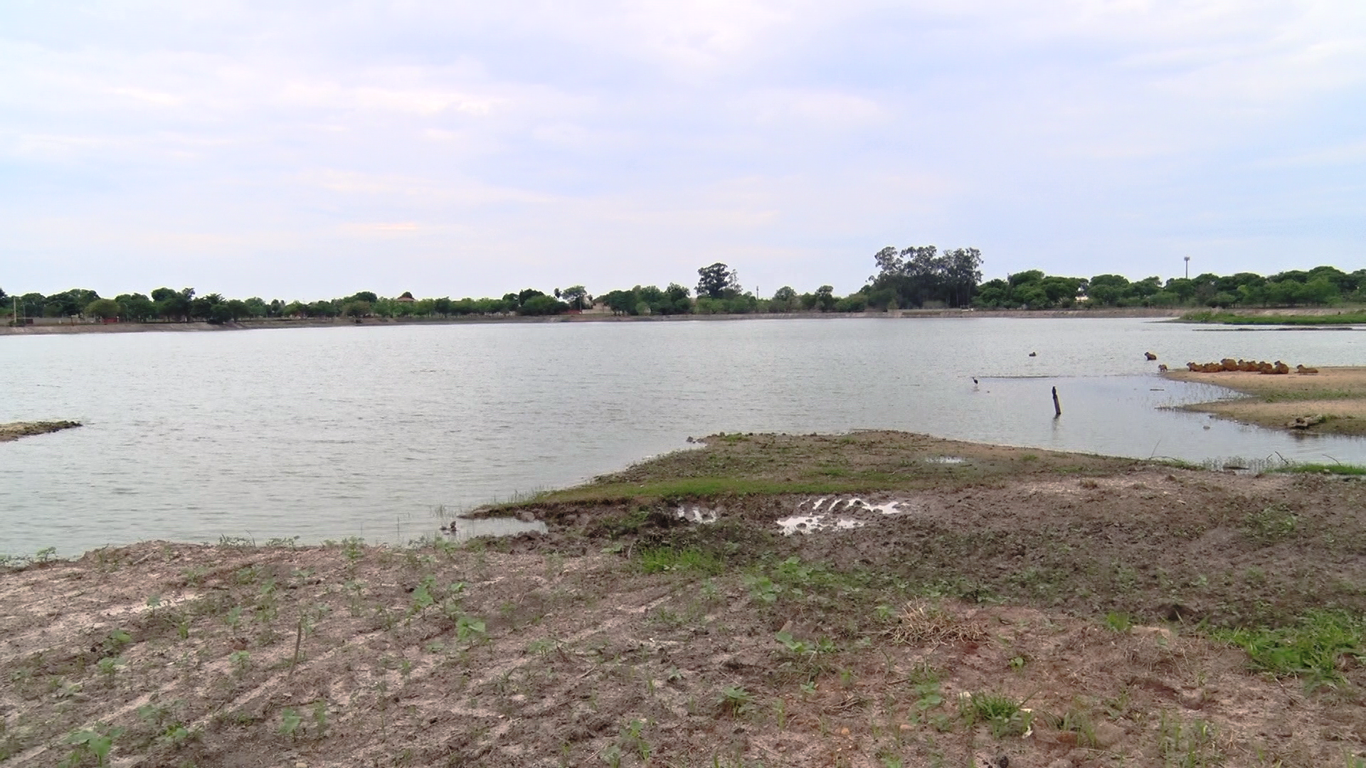 Embora existam placas de sinalização, muitas crianças desobedecem e brincam na Segunda Lagoa. | Foto: Reprodução/TVC