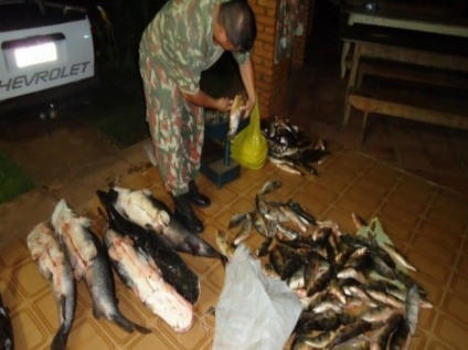 Policiais apreenderam mais de 500 quilos de pescado ilegal em um mês - Arquivo