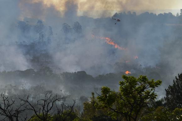 Bombeiros tentam controlar incêndio em área de Cerrado na capital federal - Valter Campanato/Agência Brasil