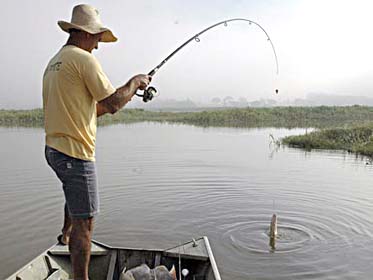 A multa prevista para quem comercializa pescado irregular é a mesma para quem pesca durante a piracema - A multa prevista para quem comercializa pescado irregular é a mesma para quem pesca durante a piracema -
