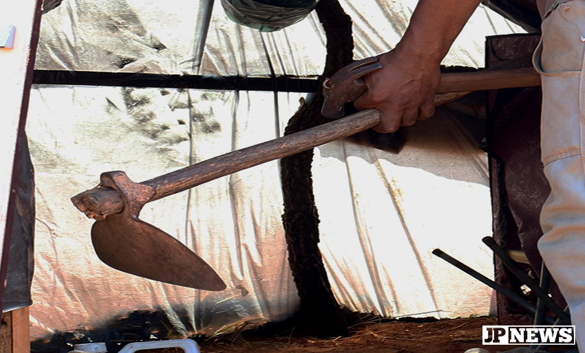 Uma terra de riquezas é aquela onde se cultiva com trabalho e dedicação. - Hugo Leal/JPNEWS