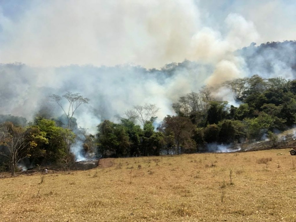 A área é de difícil acesso e os militares não conseguiam chegar com a viatura até as chamas - Divulgação/Bombeiros