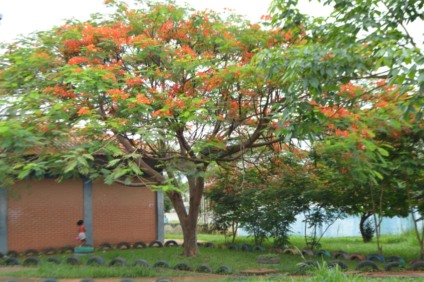 A quarta-feira em Paranaíba amanheceu com muitas nuvens em Paranaíba - Alex Santos / JPNEWS